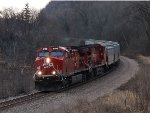 CP 8176